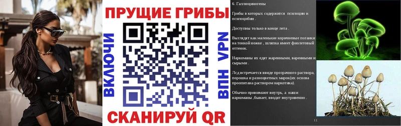 гидра зеркало  Кашин  Галлюциногенные грибы мухоморы 